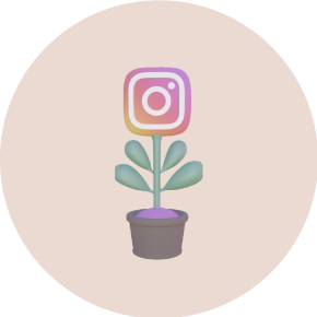 Formation instagram coaching instagram Rosacom community management vendee formation in